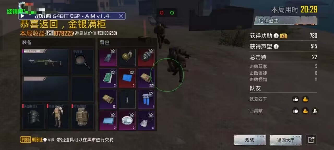 和平精英辅助【星光】